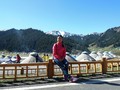 诗人头像