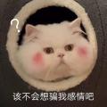 诗人头像