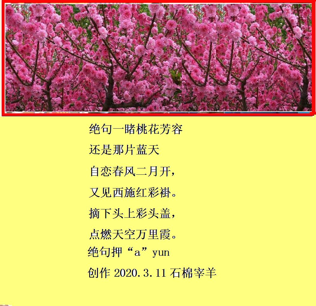 绝句一睹桃花芳容