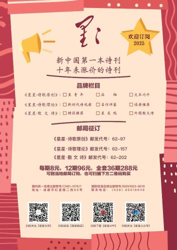 星星诗刊预订2025年