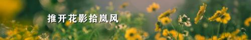 刘清华06