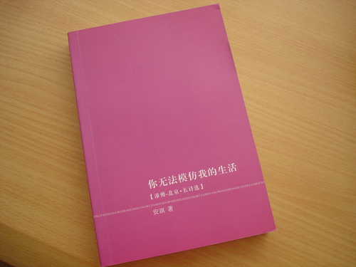 长诗选《你无法模仿我的生活》，安琪著，2012年5月，自印。